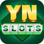 YN Slots apk Download